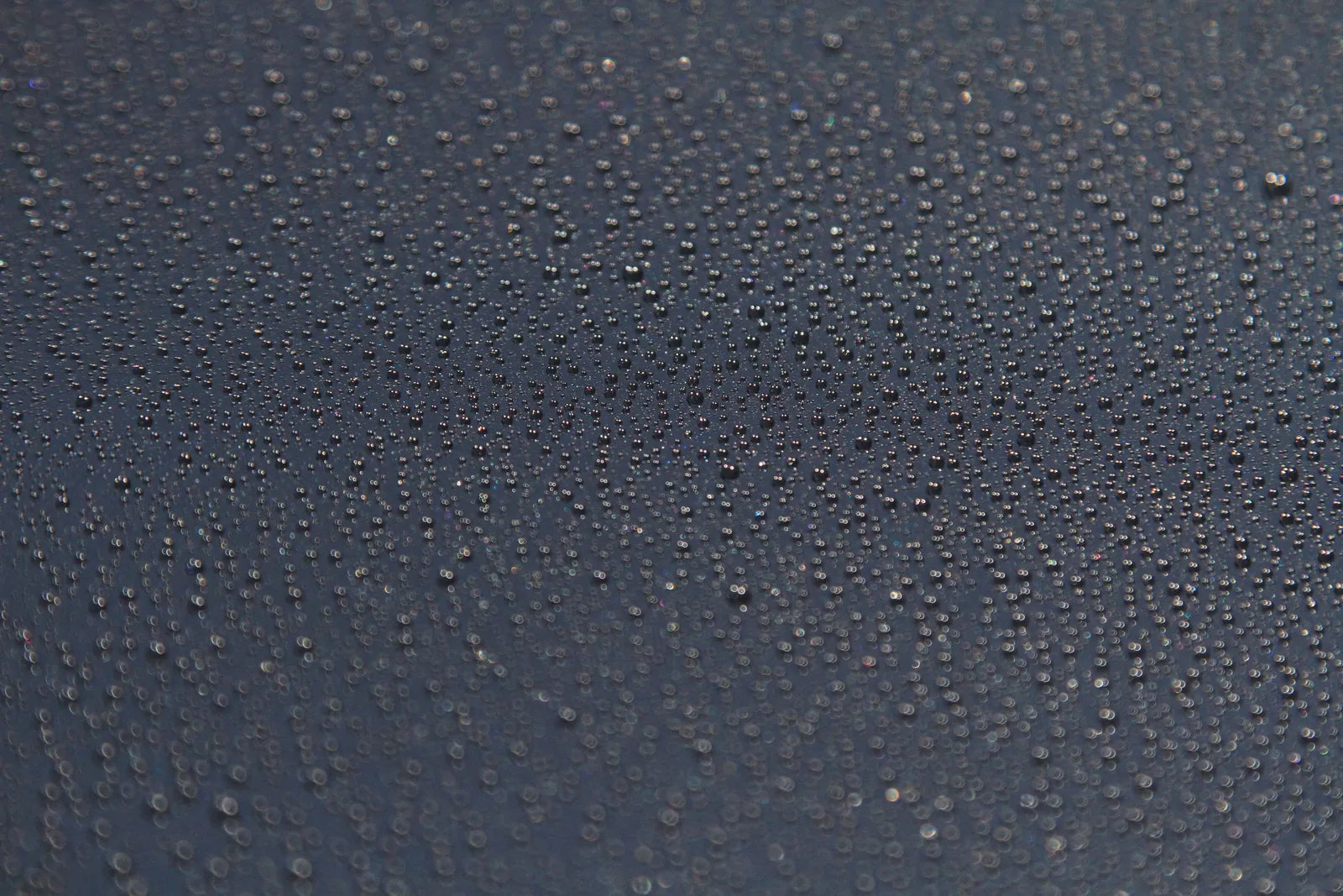 Water beading on a coated black bonnet