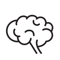 Peace of Mind on Every Drive