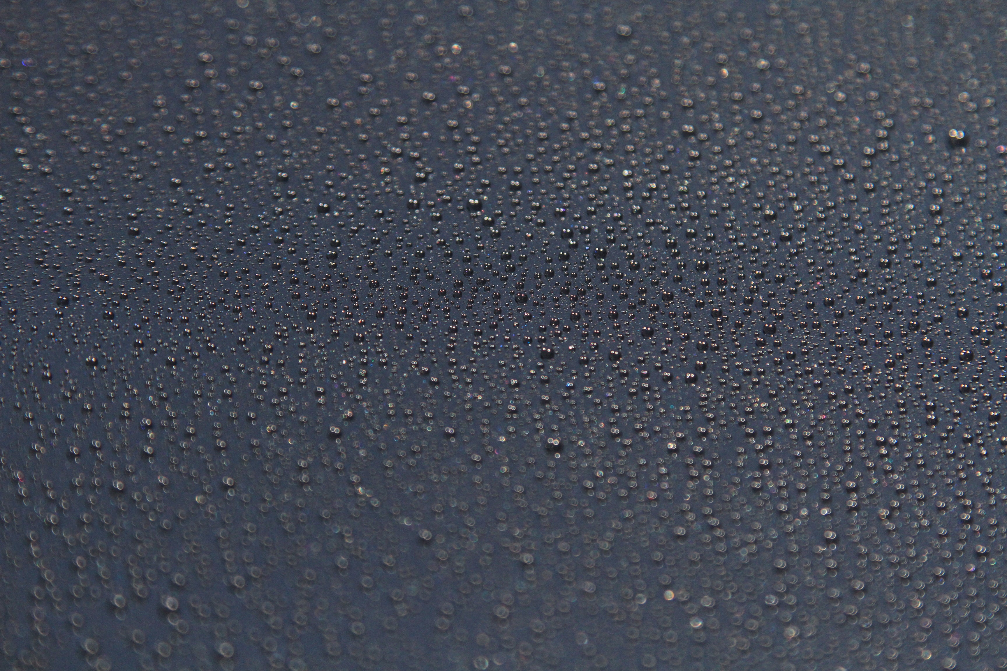 Water beading off a black car hood protected with GenTek ceramic coating.